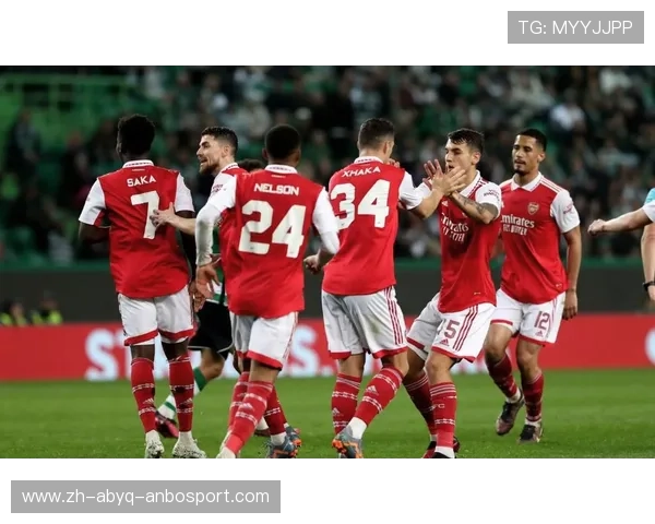 阿森纳欧冠视频资料精选 阿森纳欧冠视频资料精选